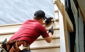 Best Fascia and Soffit Installation  in Oakland, IA